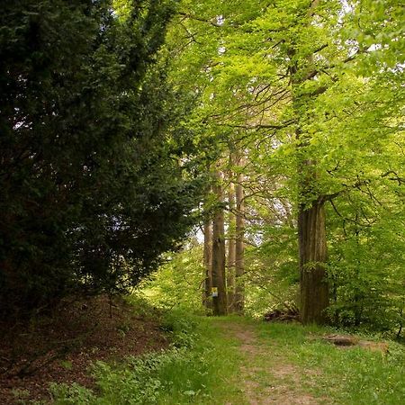 App 622 Panoramic Hohegeiss Mit Wlan Terrassenhaus Apartment Braunlage Bagian luar foto